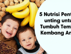5 Nutrisi Penting untuk Tumbuh Kembang Anak