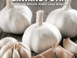 Bawang Putih: Antibiotik Alami yang Ampuh