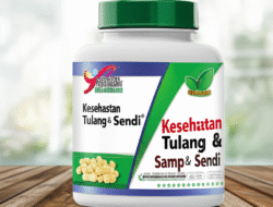 Kesehatan Tulang & Sendi