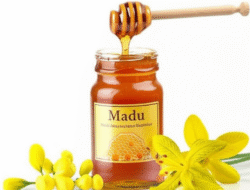 Madu: Manfaatnya bagi Kesehatan dan Kecantikan